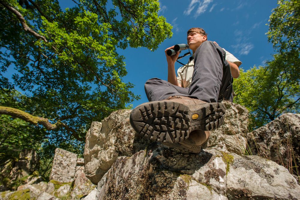 Nationalpark Traumschleife "Kirschweiler Festung" 884e
