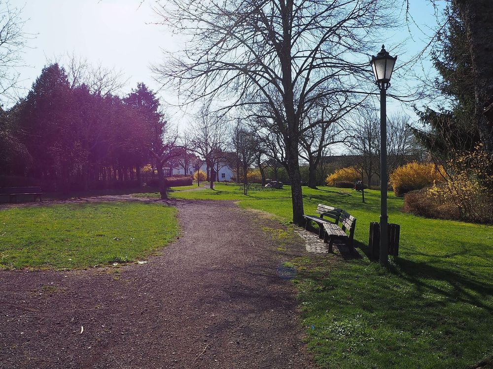 Bürgerpark Longkamp acmff