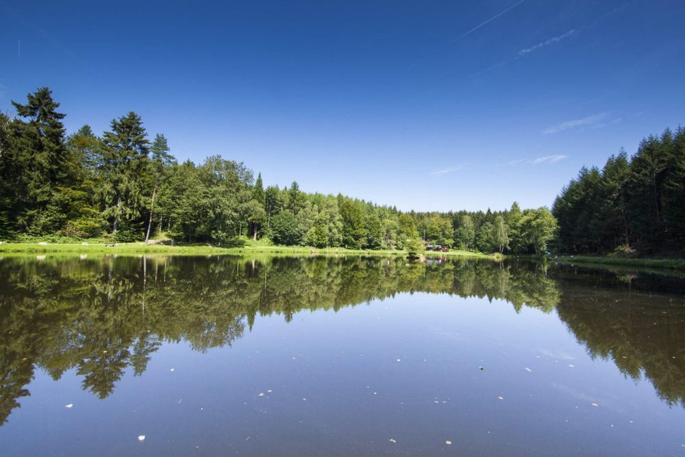 Naturlehrpfad in Schillingen anoam