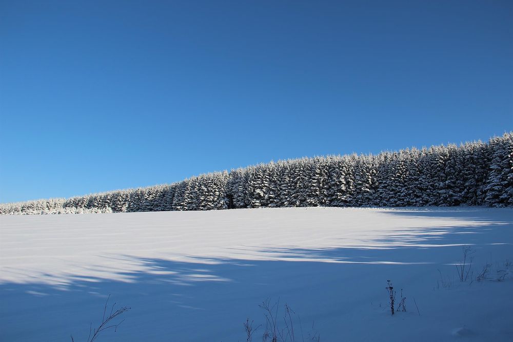 Schneeschuhwanderungen d8maw