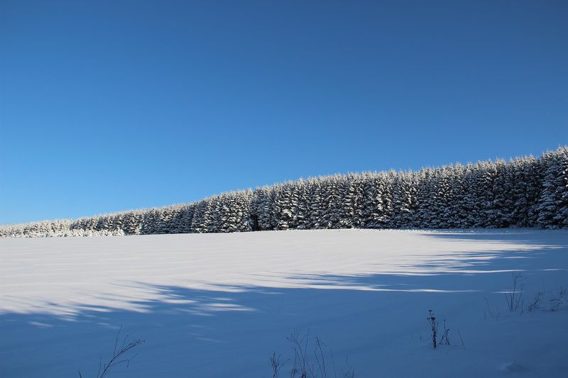pois/schneeschuhwanderungen-bdbb