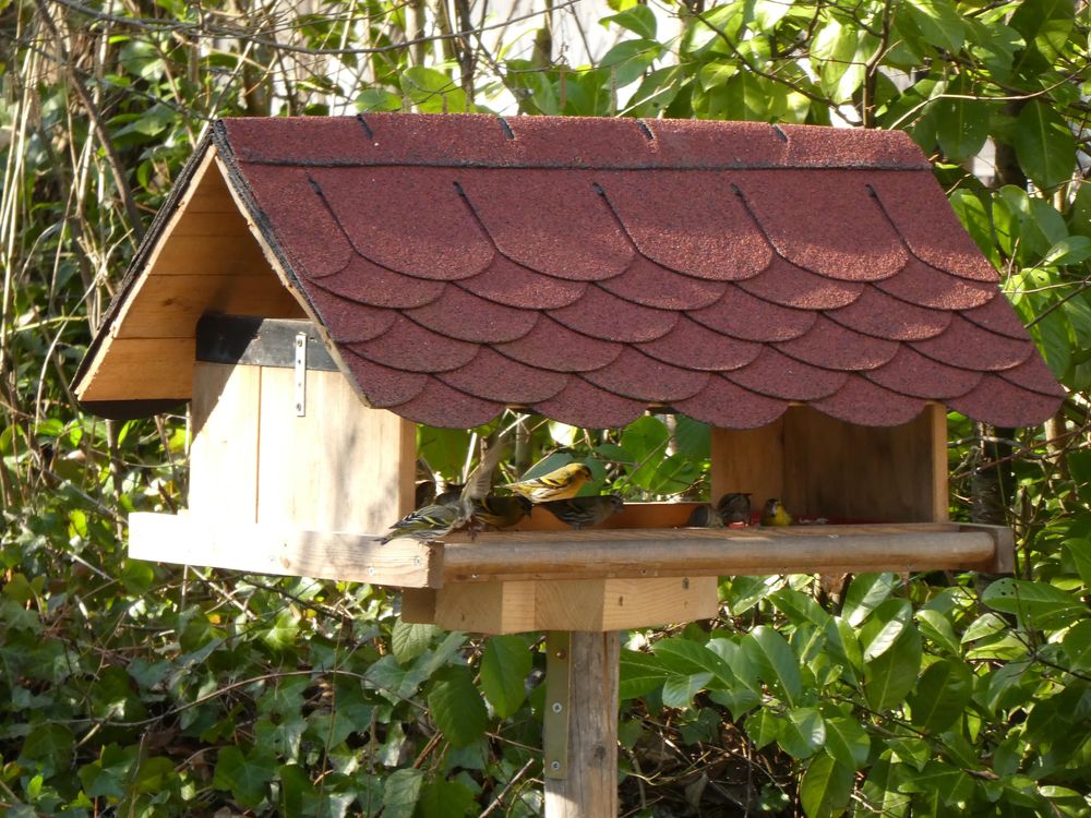 Ferienhaus Bon Air deqrr