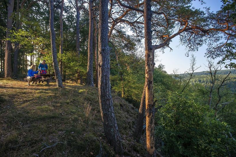 Traumschleife "Via molarum" felvb