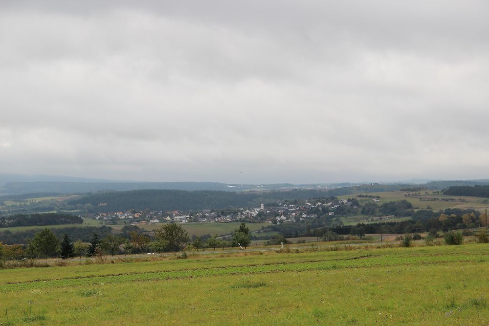 Traumschleife "Rockenburger Urwaldpfad" frla8
