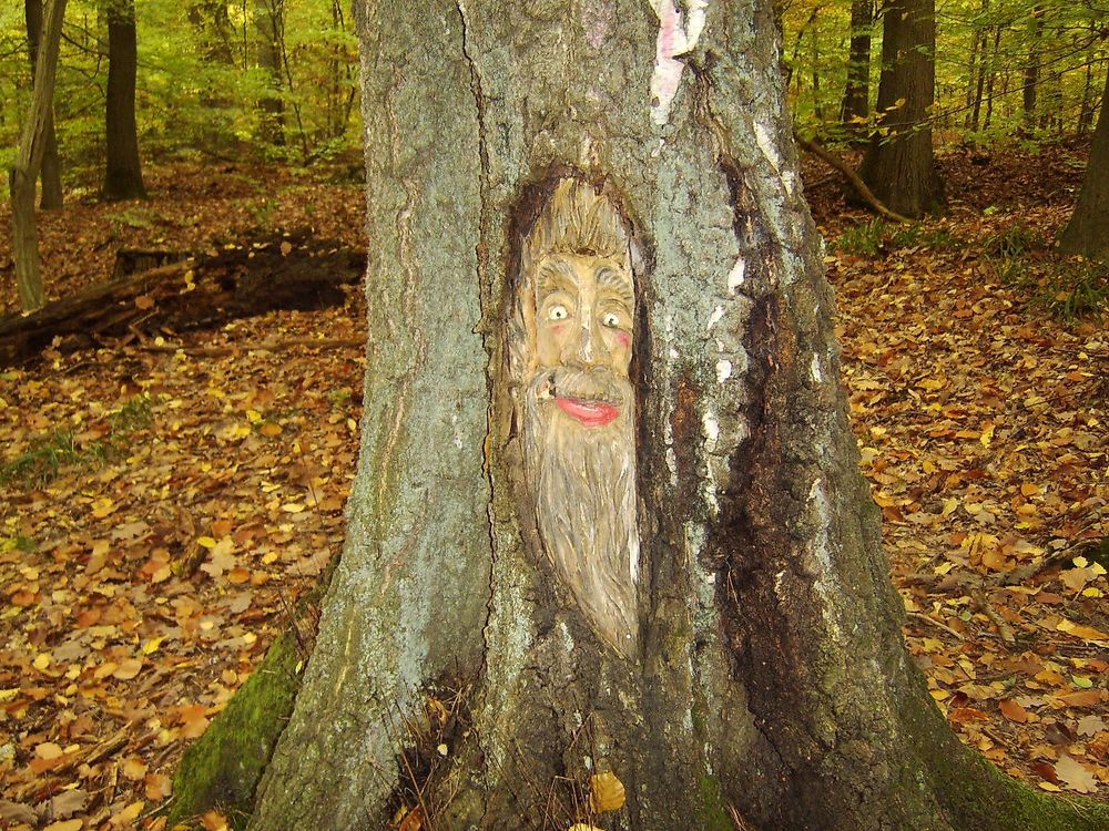 Soonwaldsteig   Gesamtstrecke hdujs