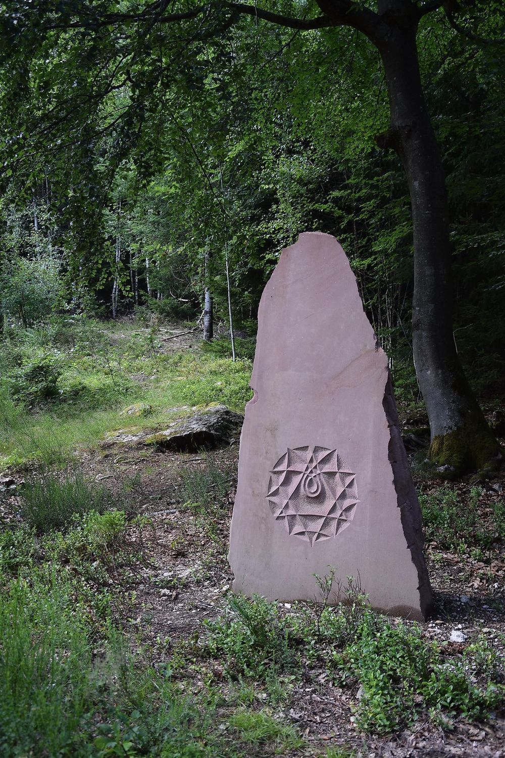Graue Eltz m1m1y