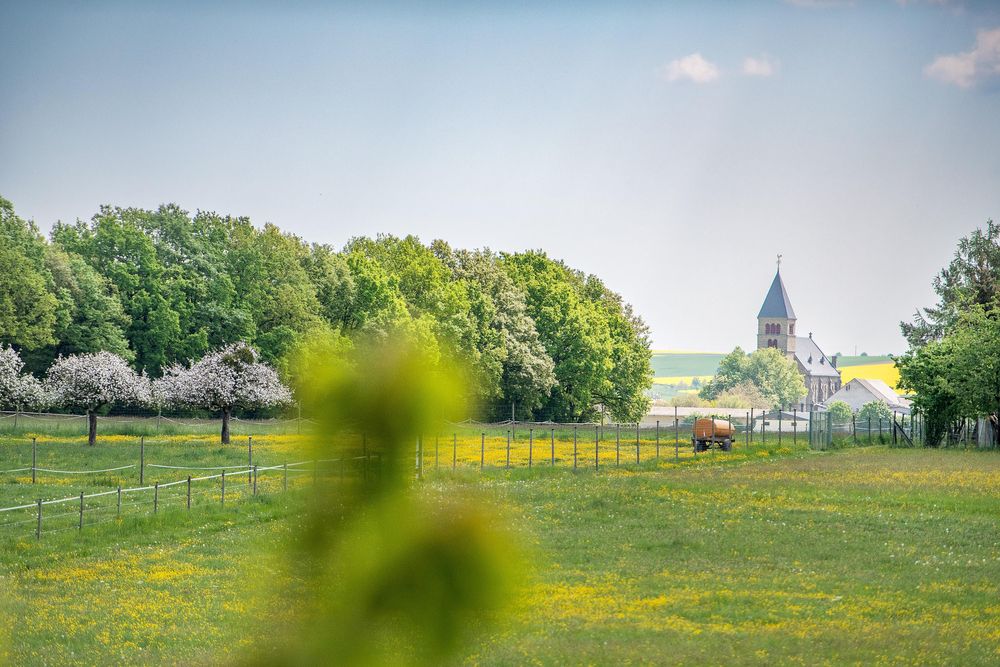 Hotel Waldesblick krtlr