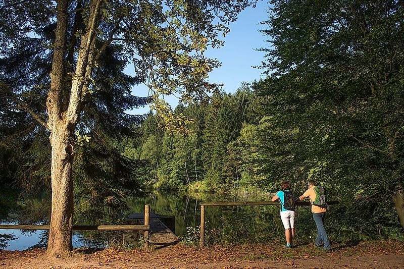 Traumschleife Saarhölzbachpfad mgubd