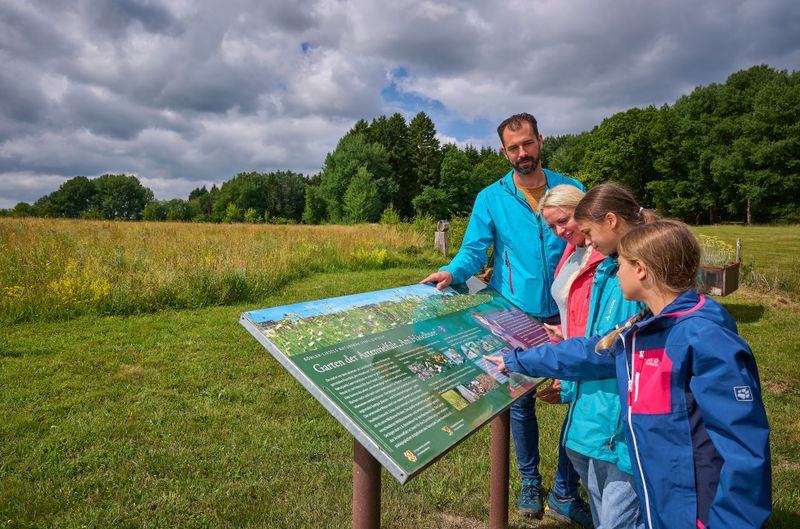 Traumschleife "Köhlerpfad am Steinbach" ngw89