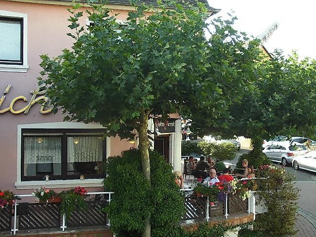 Hotel Westrich nuz5k