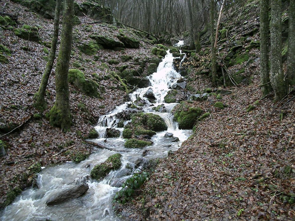 Von der Brombacher Höhe ins Nahetal (längste Runde) qv4ku