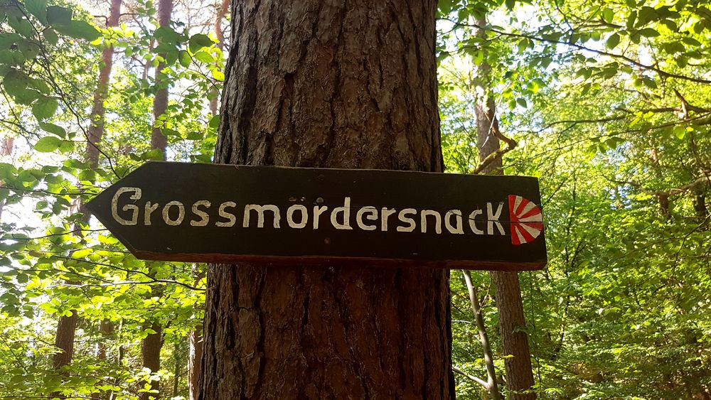 Damscheid Hohenstein qyt9j