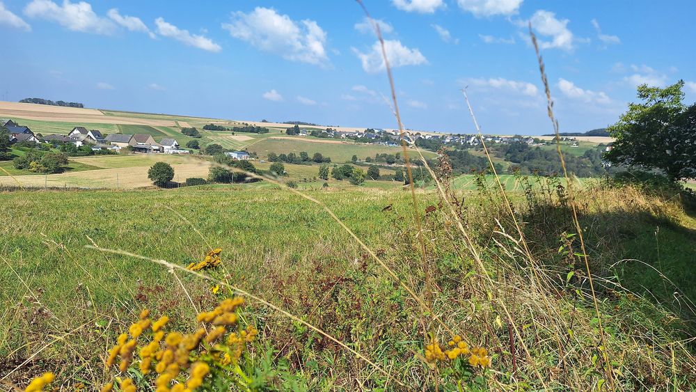 Ginsterberg in Birkheim rndr8