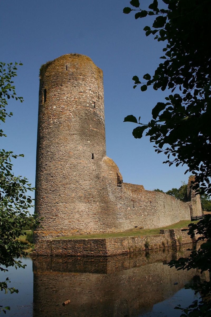 pois/burgruine-baldenau-argo-b885