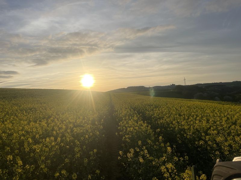 Wandergenuss rund um Lampaden uhwu2