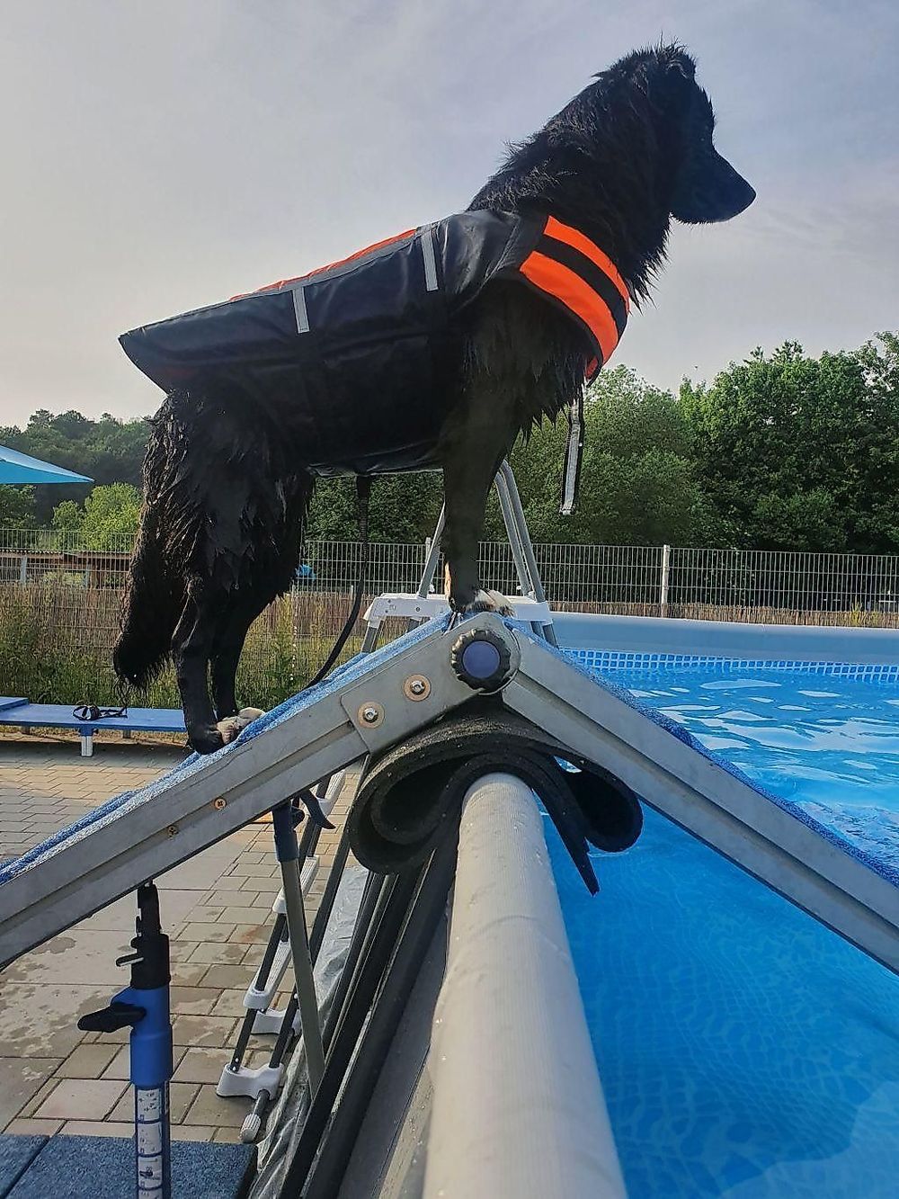 Caniplace   Hundefreizeit und Gesundheitspark ul0pl