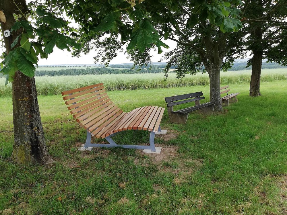 Ortsgemeinde Lieg vjwvh