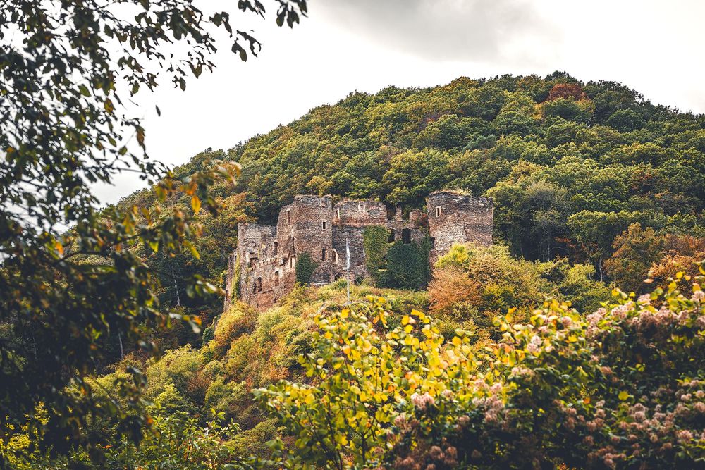 Burgruine Dalburg x58dg