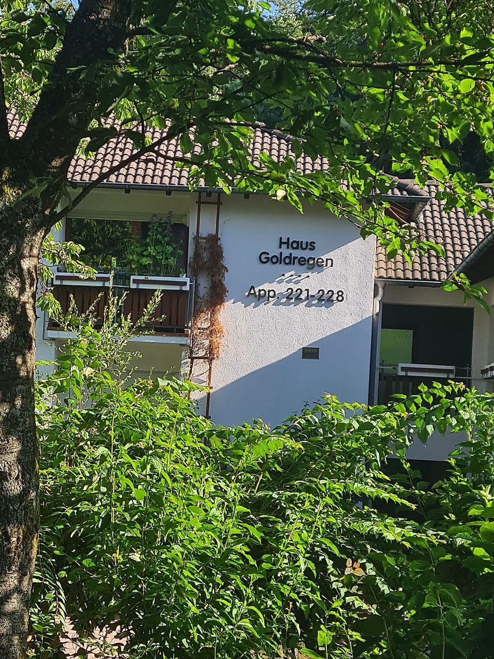 Haus Goldregen   App