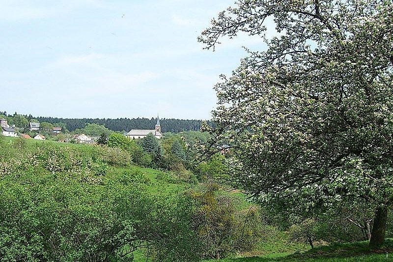 Traumschleife Waldsaumweg zhw2ss