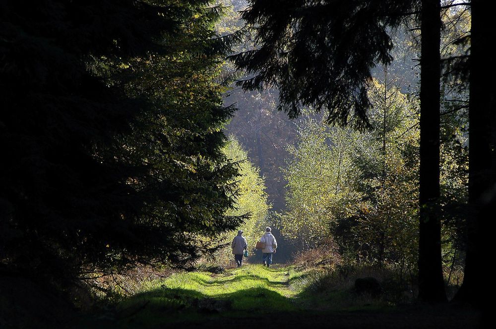 Traumschleife Domblick zgjbpd