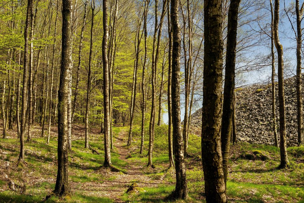 Nationalpark Traumschleife Dollbergschleife zes4sh