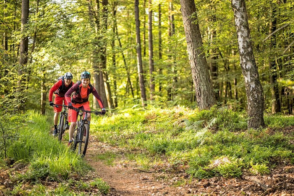 Briedeler Bummkopf Mountainbike Tour über Enkirch zbvf9g