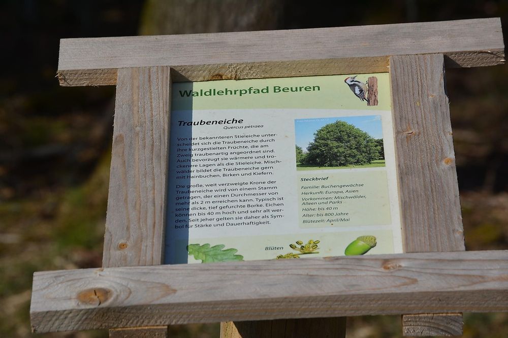 Naturerkundungspfad Beuren yyz8lf