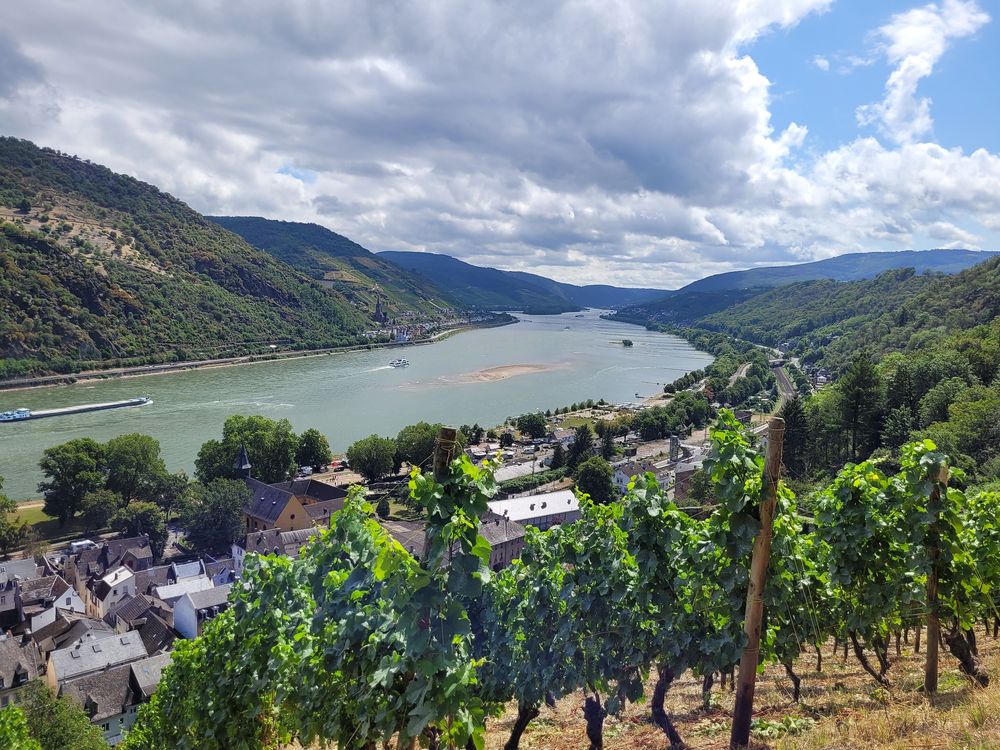Welterbesteig Oberes Mittelrheintal Etappe 4 Bacharach   Oberwesel yyxjjo