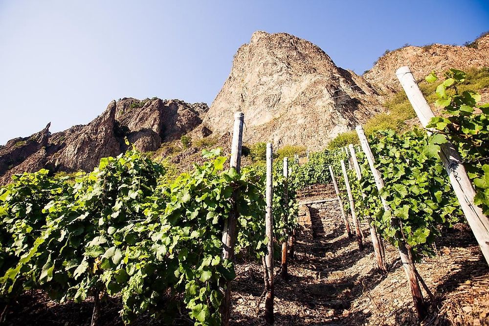 Naheweinstraße: Etappe Rüdesheim yyn3l4