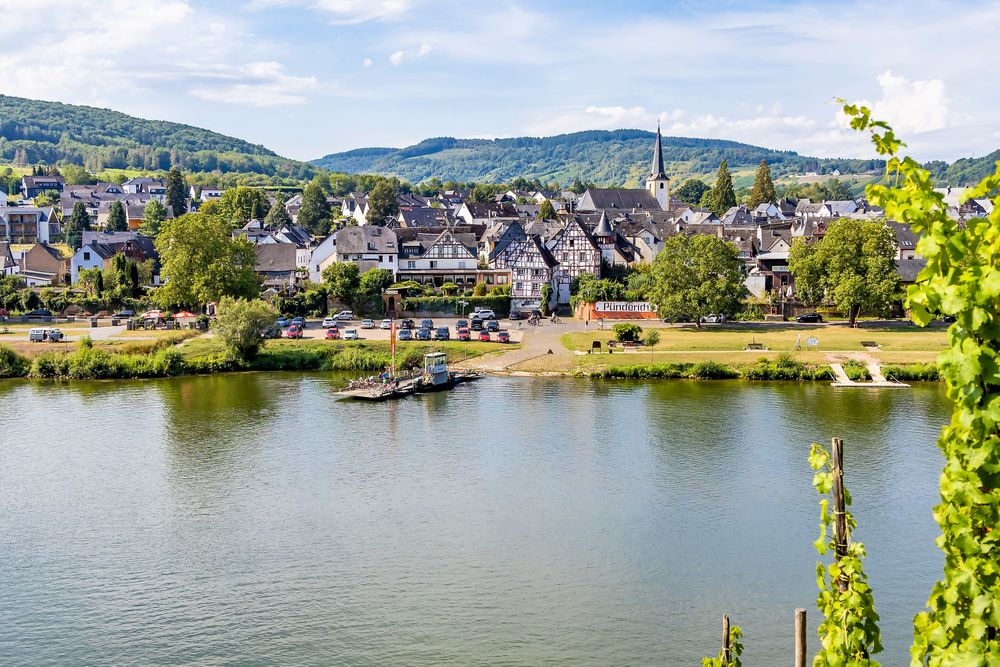 Weinlehrpfad Pünderich yycluu