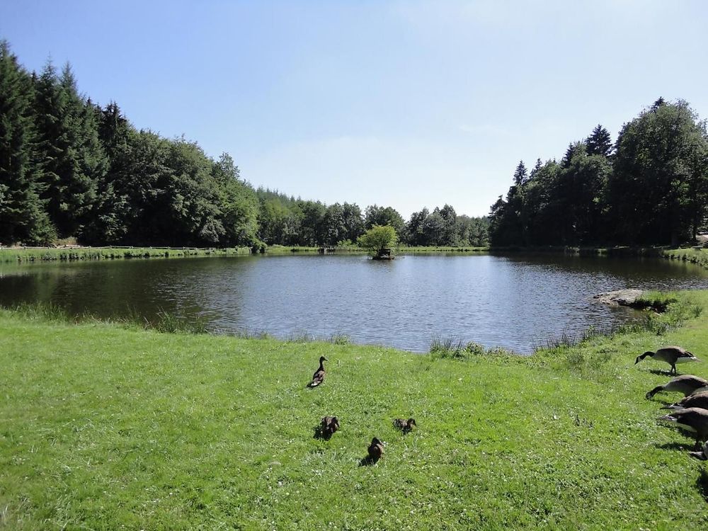 Angeln in Schillingen yy0k92