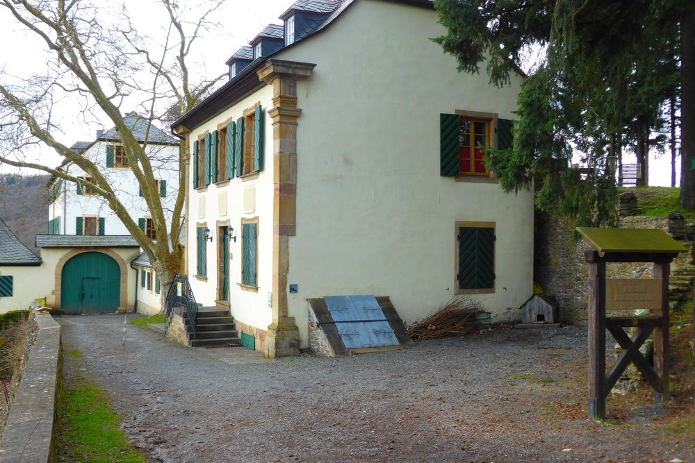 Soonwaldsteig   Zuweg Hennweiler 1 ywj576