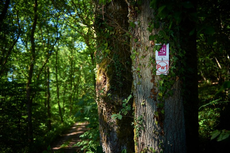 Traumschleife Romikaweg ywdfld