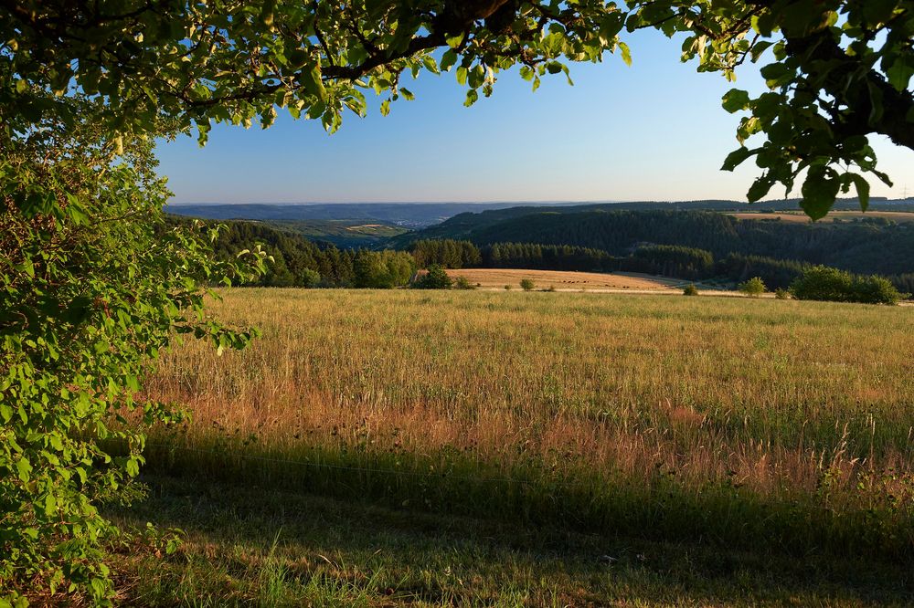 Traumschleife Schiefer Wackenweg yvb5jd