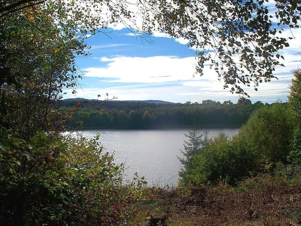 Traumschleife "Köhlerpfad am Steinbach" yw0i54