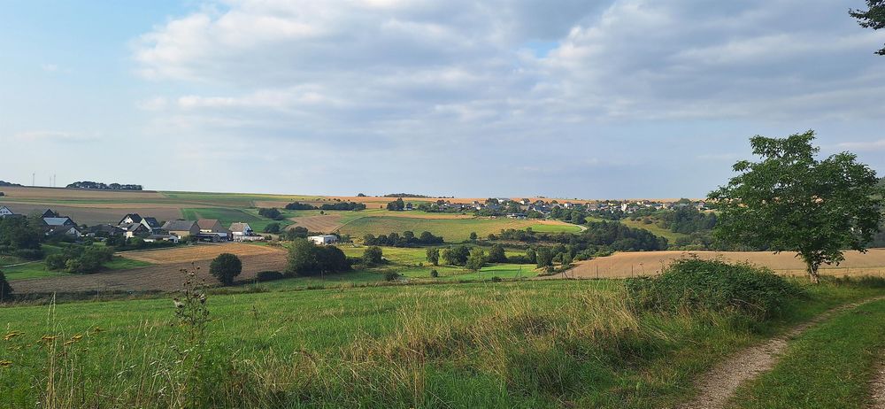 Ginsterberg in Birkheim ytnno7