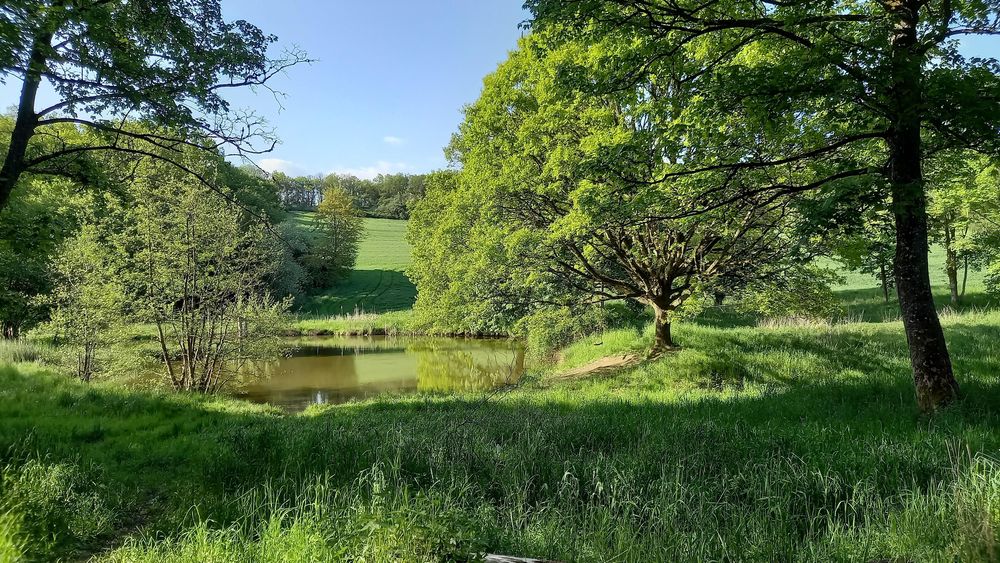 Teiche am Liesenfelder Bach ytgcx9