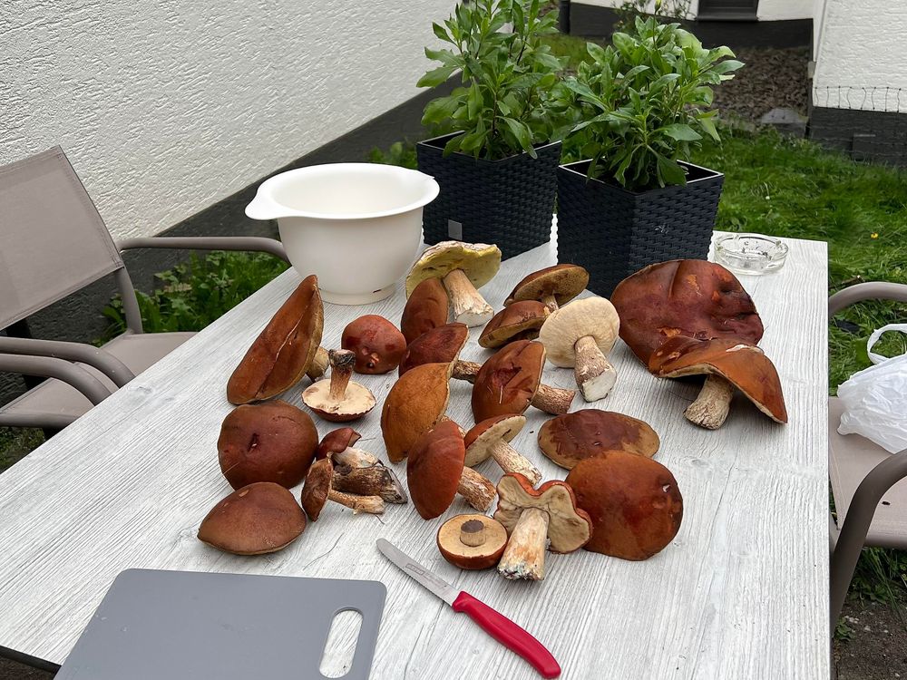 Ferienhäuser im Feriendorf Hambachtal yt2v7l