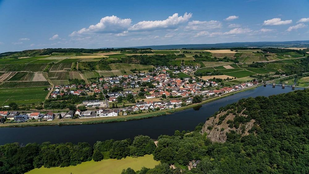 Rundtour Niederhäuser Weinwanderweg yt2519