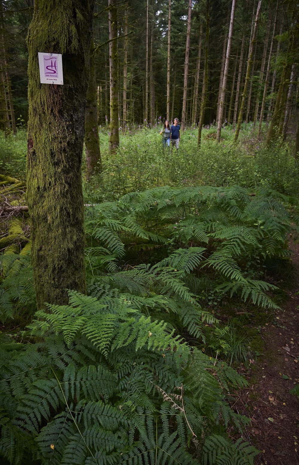 Sonnenschein Apartment yrk1q3