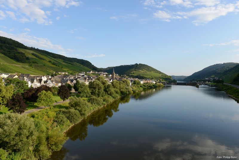 tochten/leuchtpunktwanderung-neefer-petersberg-be59