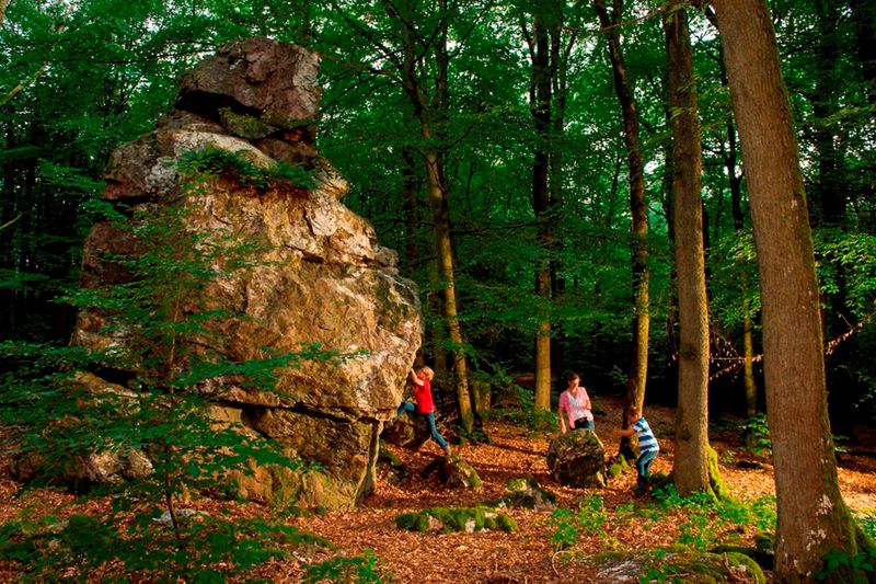 pois/heckelbueschfelsen-quartsformatie-in-het-henterner-woud-873f