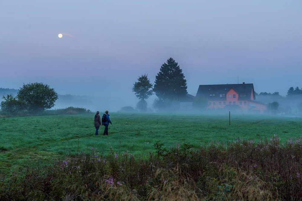 TRAUMSCHLEIFE Hochwald Acht ypik32