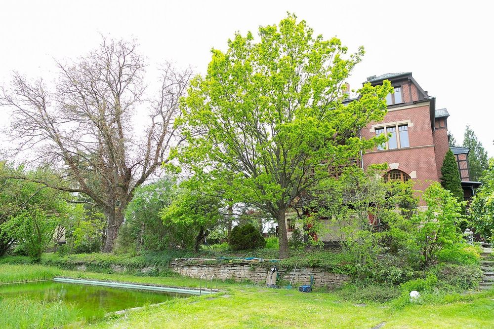 Alte Villa Meisenheim ymzitm
