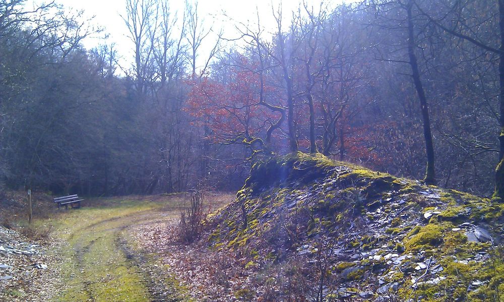 Soonwaldsteig   Zuweg Sonnschied yo76e3