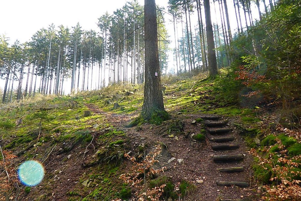 Soonwaldsteig   Zuweg Gemünden 1 yo5nus