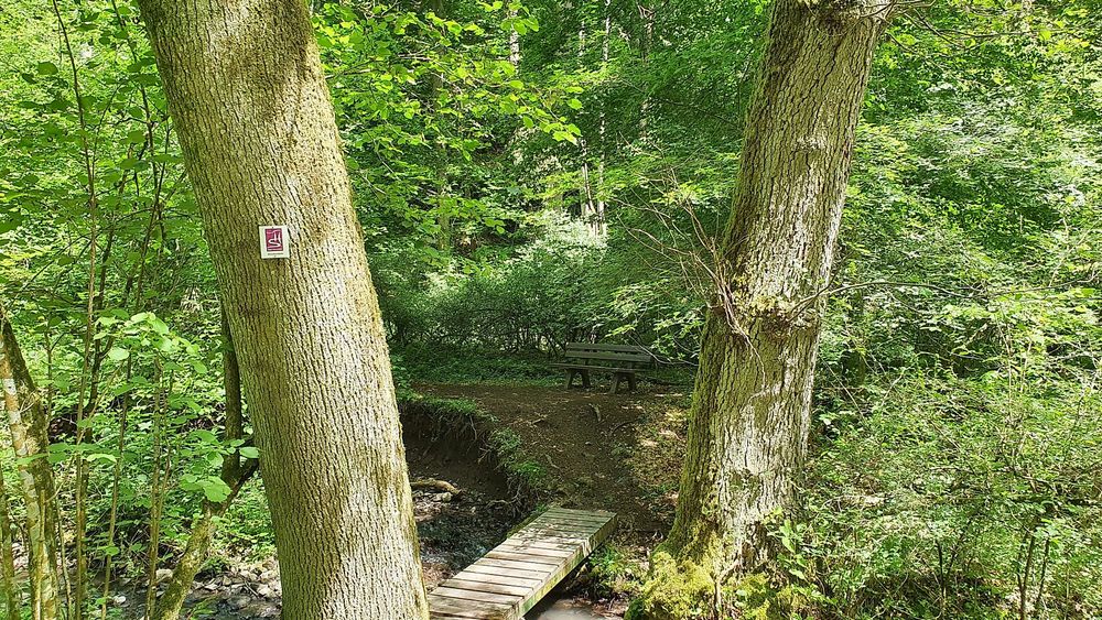Traumschleife Bärenbachpfad Baumholder yhhtpe