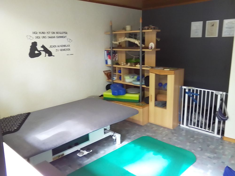 Hundephysiotherapie Mobile Pfoten yfbxpd