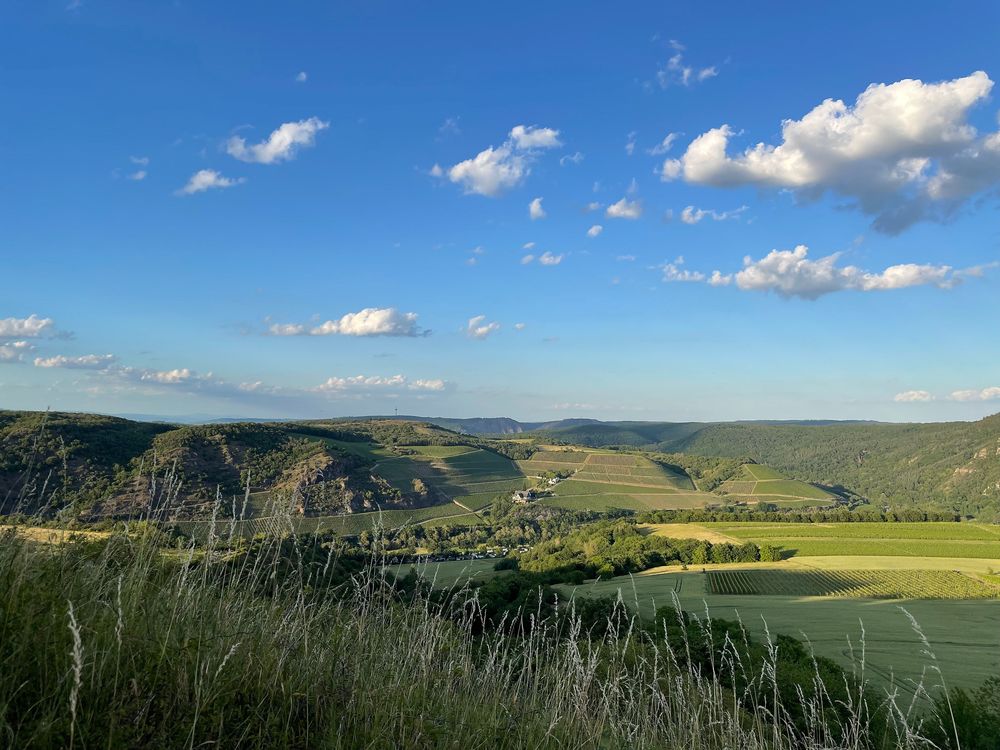 Premium Spazierwanderweg Gangelsberg yg9q1r